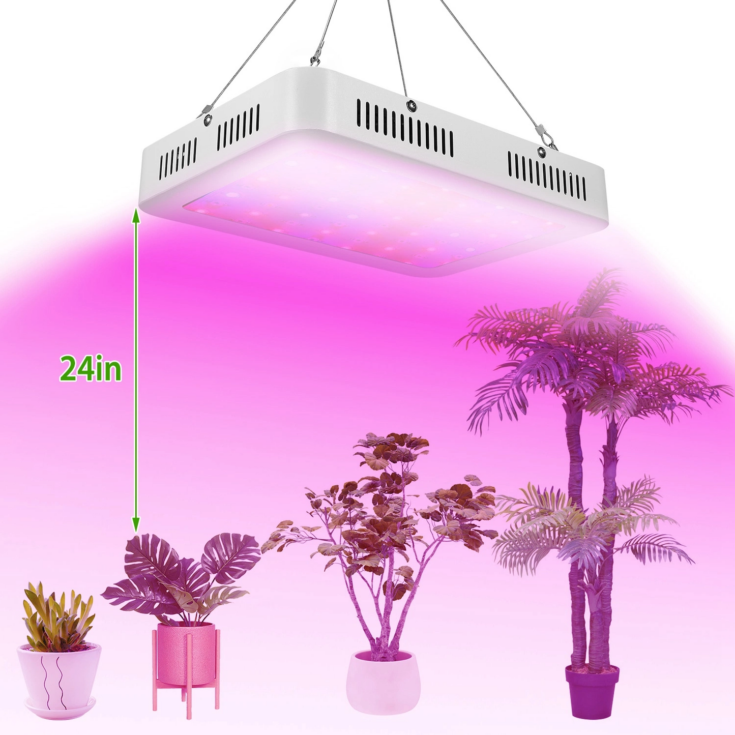 1000W LED Grow Light with Dual Chips - Full Spectrum 380-800nm Plant Lamp with Bloom & Veg Dimmers