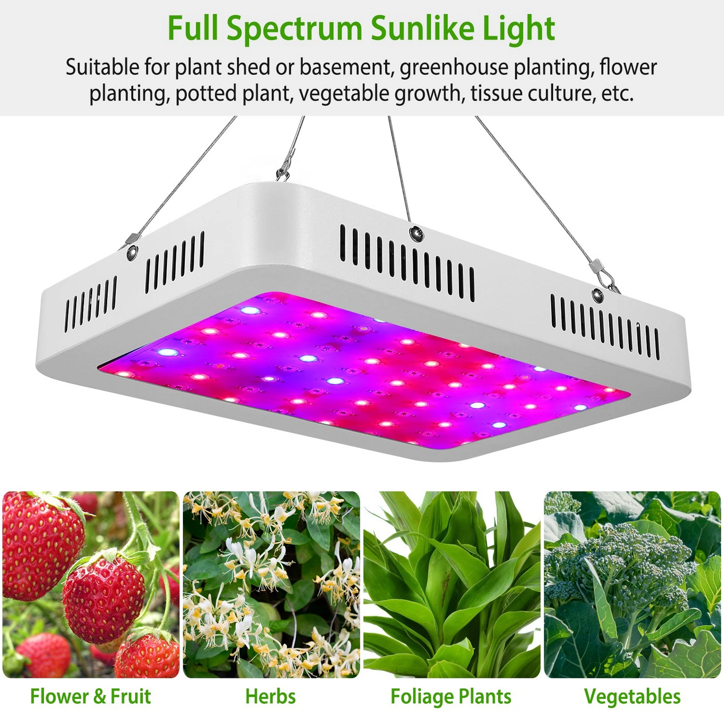 1000W LED Grow Light with Dual Chips - Full Spectrum 380-800nm Plant Lamp with Bloom & Veg Dimmers