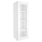 Medicine Cabinet Wall Mounted W1542GD