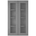 Medicine Cabinet Wall Mounted W2442GD