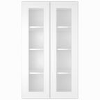 Medicine Cabinet Wall Mounted W2442GD