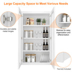 Medicine Cabinet Wall Mounted W2442GD
