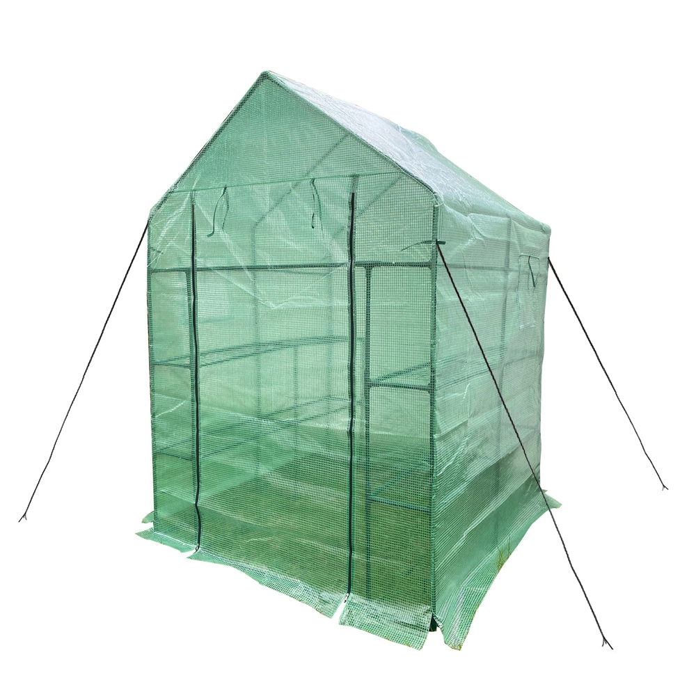 Walk-In Garden Greenhouse (56" W x 56" D x 76" H) with 2 Tiers, 8 Shelves, Observation Window, and Anchoring Set - Green