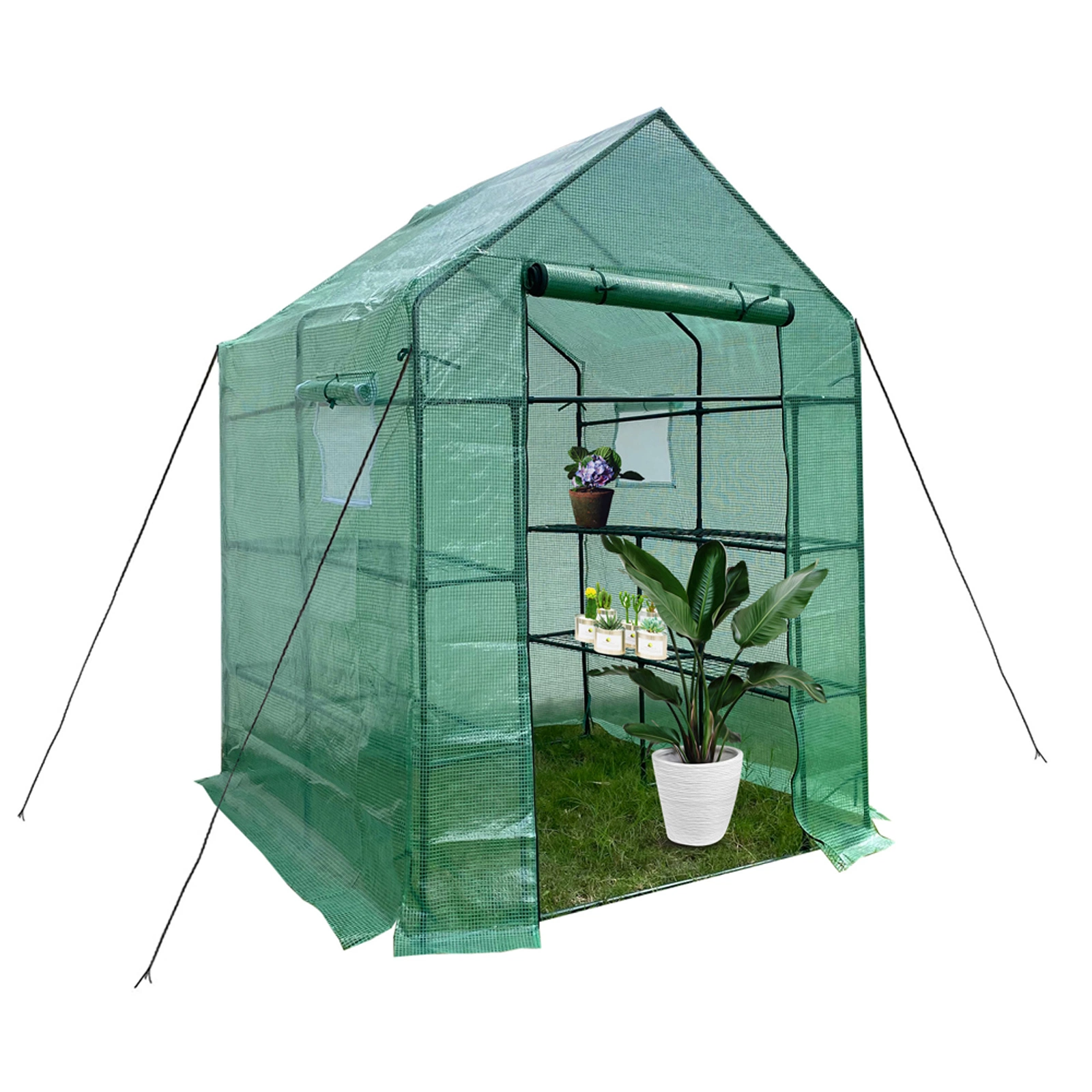 Walk-In Garden Greenhouse (56" W x 56" D x 76" H) with 2 Tiers, 8 Shelves, Observation Window, and Anchoring Set - Green