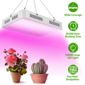 1000W LED Grow Light with Dual Chips - Full Spectrum 380-800nm Plant Lamp with Bloom & Veg Dimmers