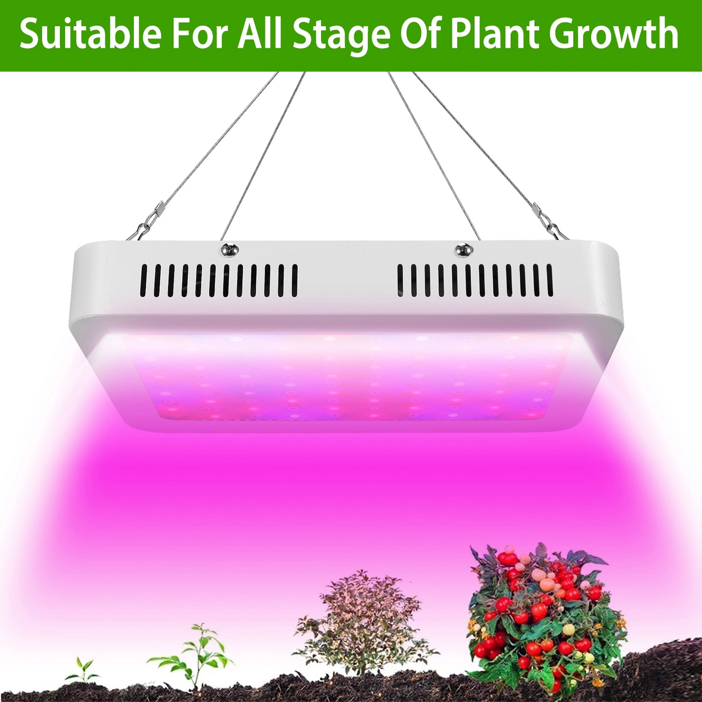 1000W LED Grow Light with Dual Chips - Full Spectrum 380-800nm Plant Lamp with Bloom & Veg Dimmers