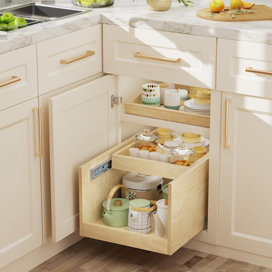 Retractable Double-Drawer Pull Out Cabinet Organizer