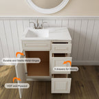 21"Dx30"Wx34-1/2"H Birch Solid Wood Bath Vanity Cabinet without Top V3021DR