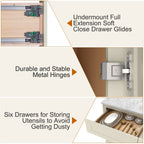21"D Birch Solid Wood X 42"W X 34-1/2"H Bath Vanity Double Drawer Cabinet without Top VDDB42