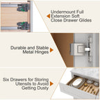 21"D Birch Solid Wood X 42"W X 34-1/2"H Bath Vanity Double Drawer Cabinet without Top VDDB42