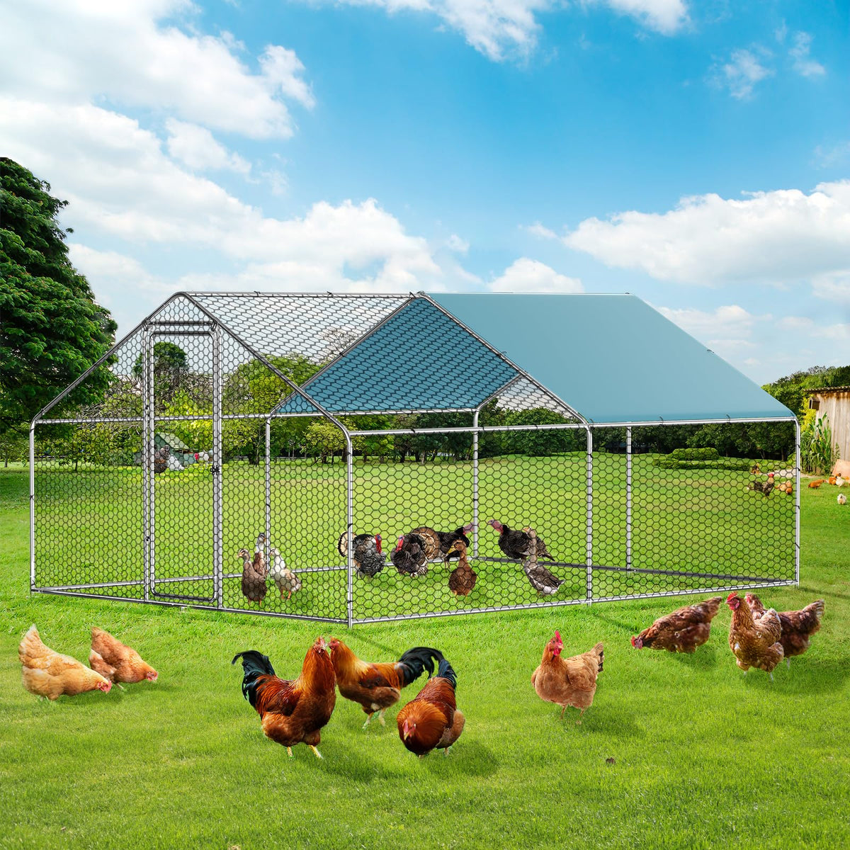Large Metal Chicken Coop