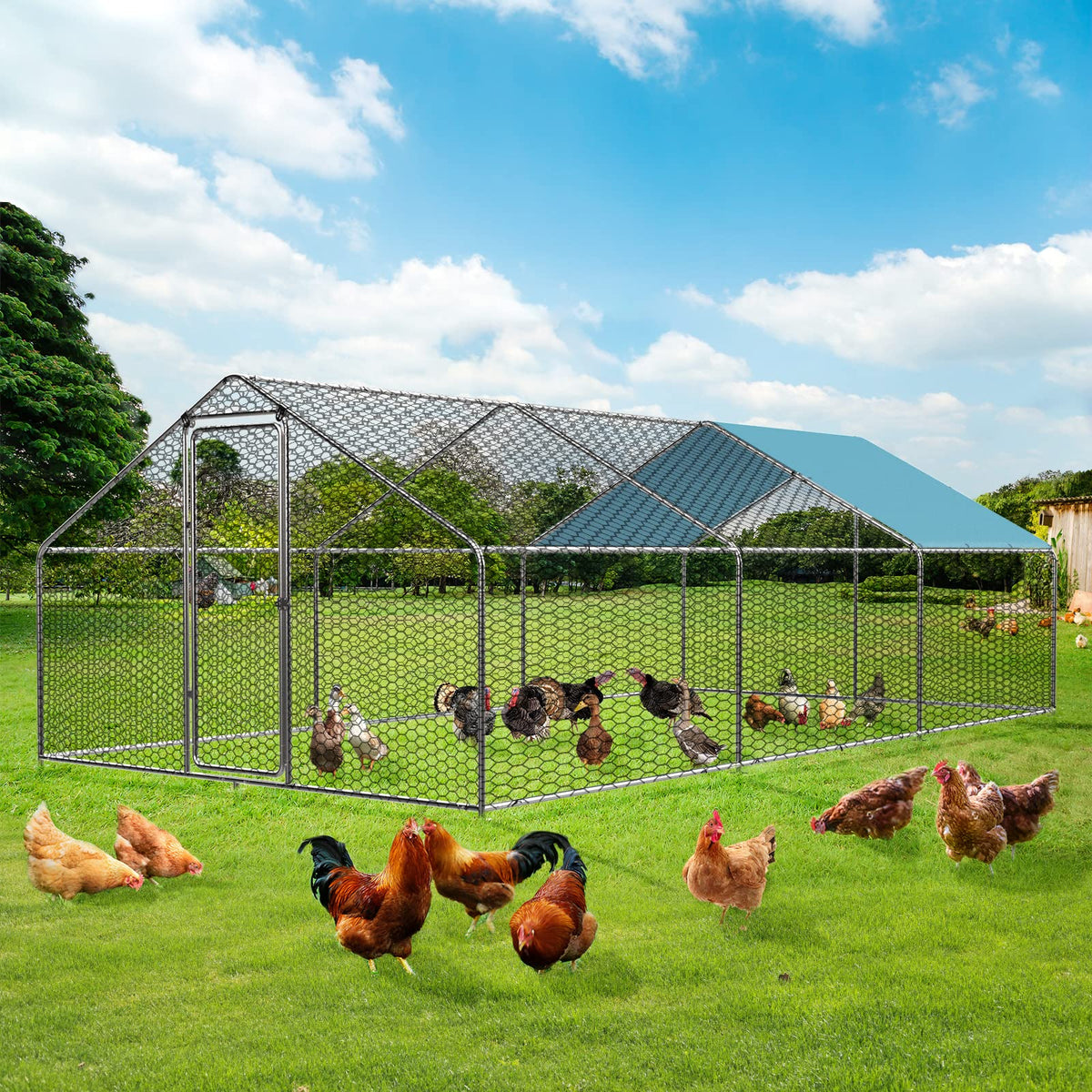Large Metal Chicken Coop