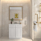 21"D X 30"W X 34-1/2"H Bath Vanity Cabinet without Top VS30